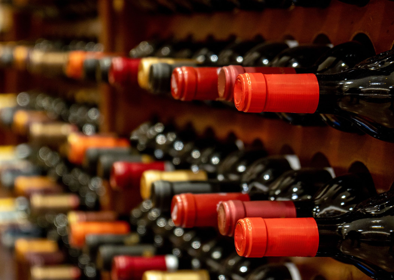 wine bottles on wine storage rack for EXPLORING DRINKS