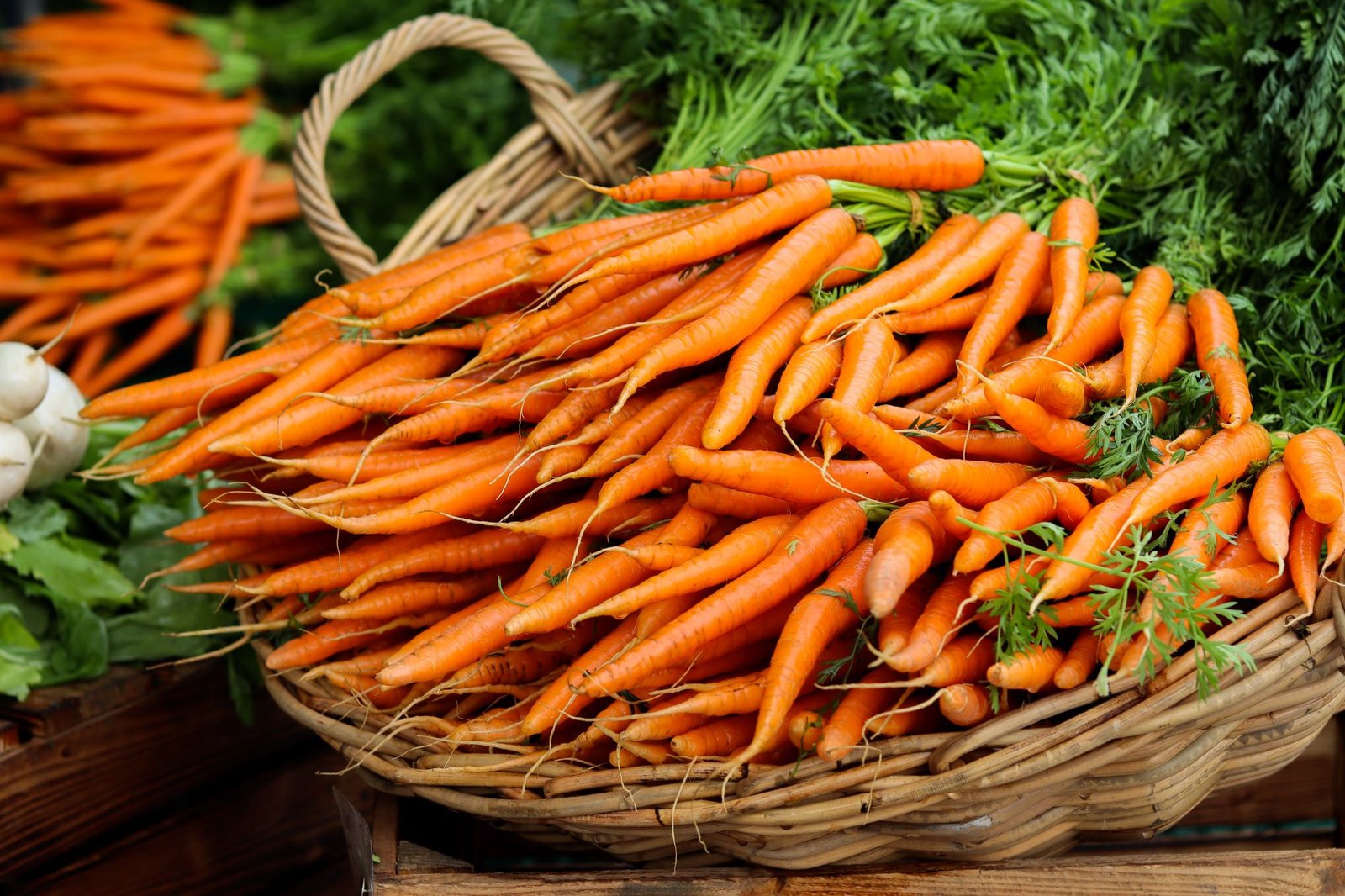 Freshly harvested carrots with long green leafy tops in an earthy basket promoting healthy eating recipes and food therapy for vision wellness