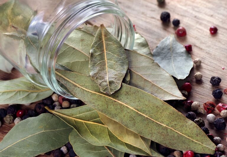 Bay leaves with peppercorns on a wooden board