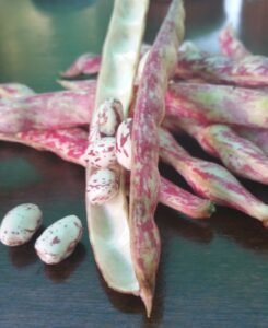 Fresh Rosecoco Beans for bone health
