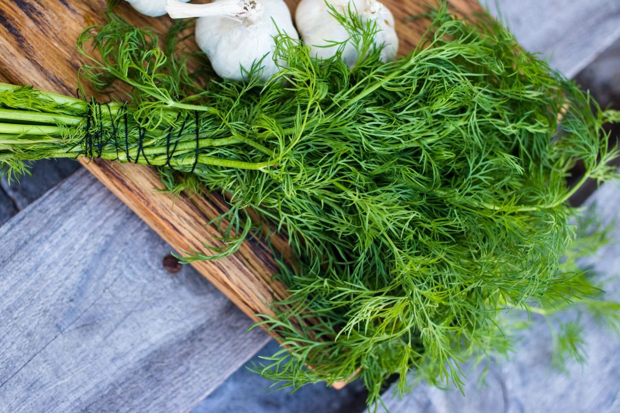 fresh dill on a chopping board