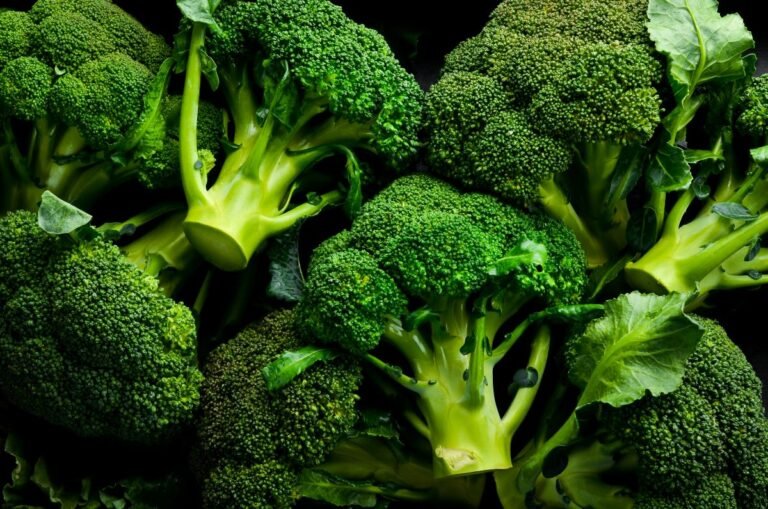 Fresh broccoli, a rich source of lutein for eye health - Maison Bonhomie Mediterranean Diet