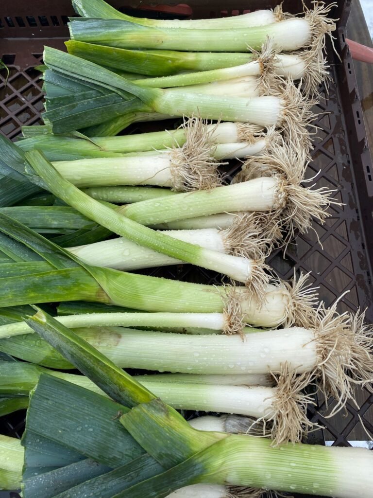 Leeks from the market