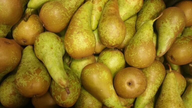A still-life image of ripe, whole pears, highlighting the skin which is rich in soluble fibre (pectin) for maintaining healthy cholesterol levels.