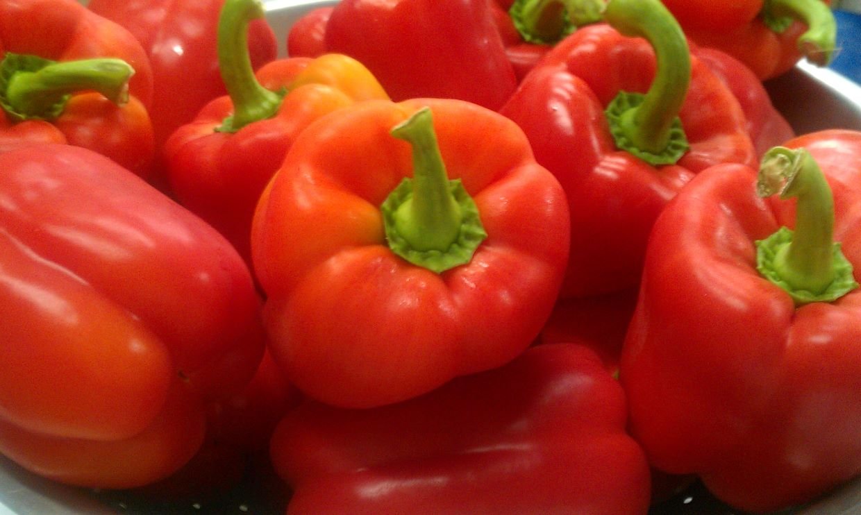 Red Peppers in a bowl
