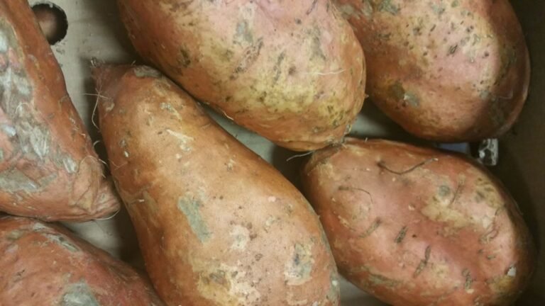 Nourish Your Mind with Brain Foods