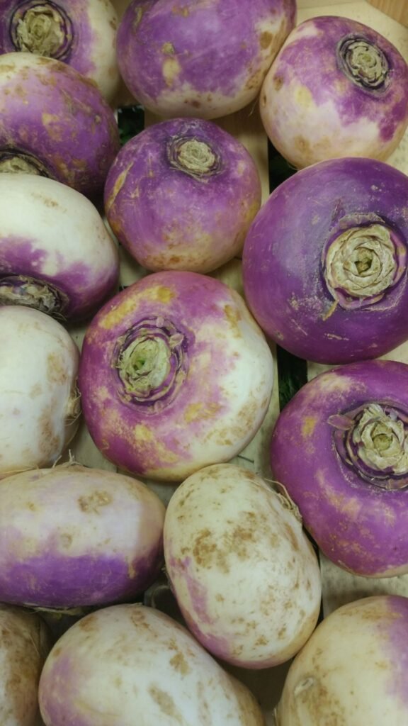 loose turnips