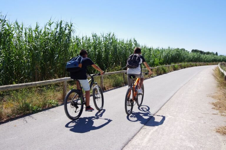 Two cyclists on a road