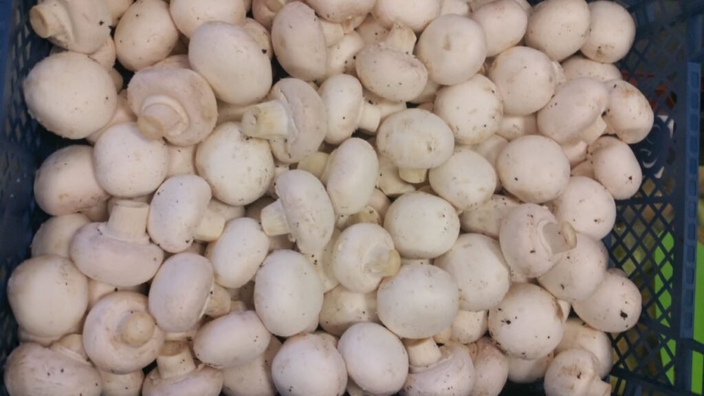 loose white mushrooms
