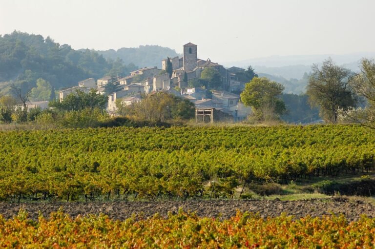 vineyard near Village of Aragon, Aude France